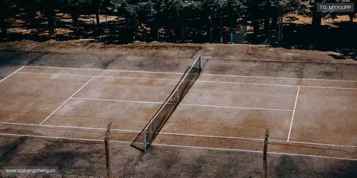 👟 专业级装备，助你突破身体极限！✨